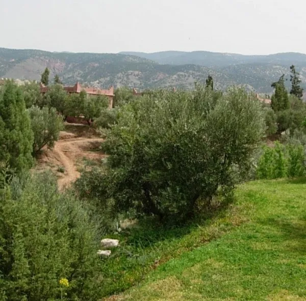 Amizmiz nature