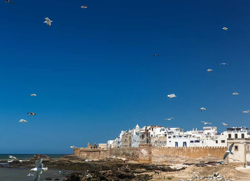 Essaouira 5 Day Morocco Tour