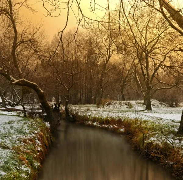 Ifrane Winter