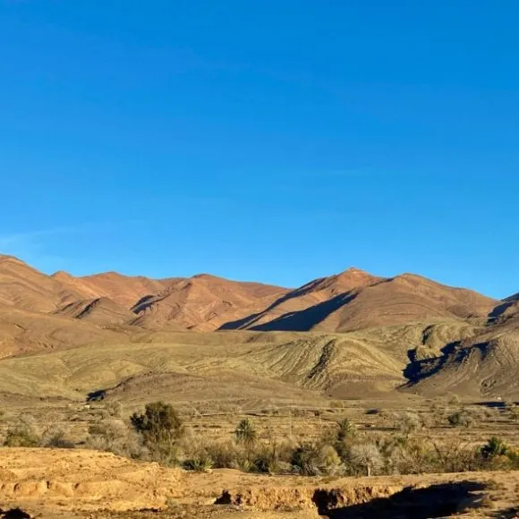 Taroudant Landscape