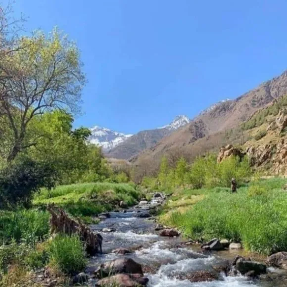 Imlil Nature
