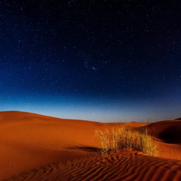 Zagora Desert Stargazing