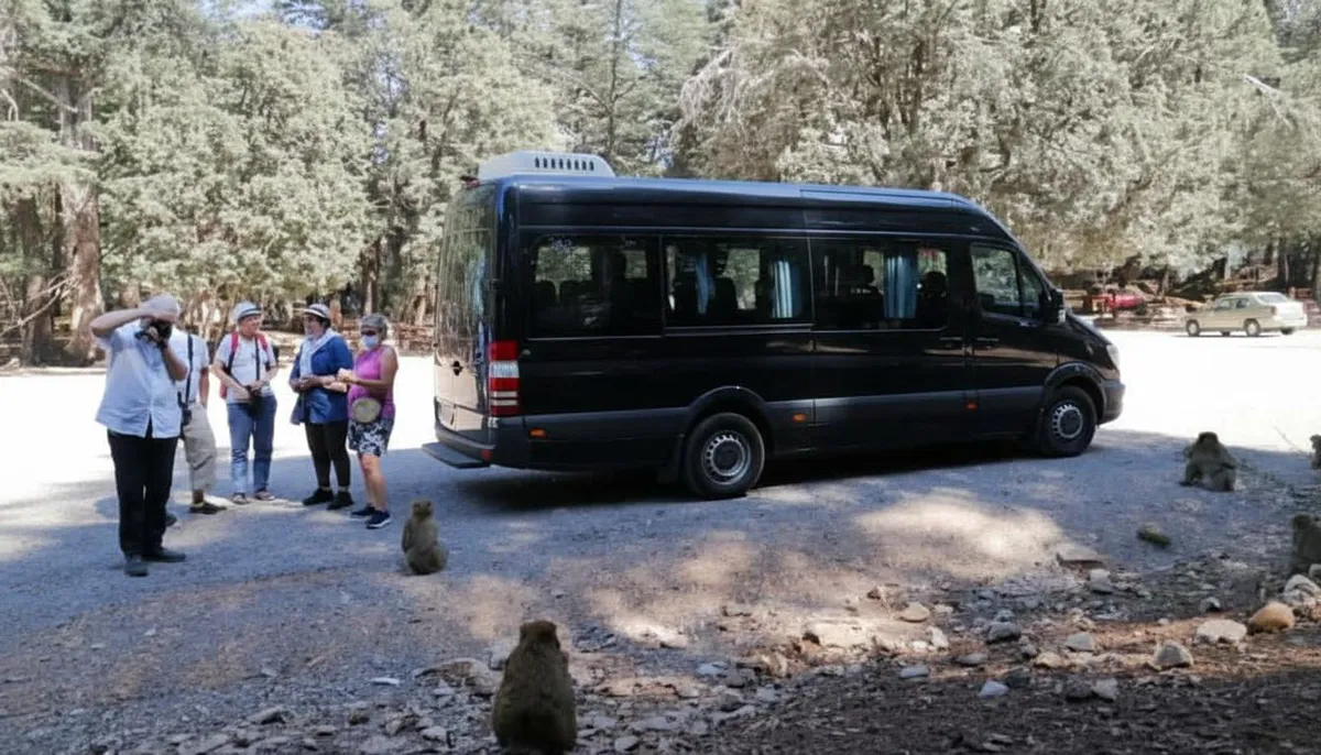 Mercedes Sprinter - Image 3